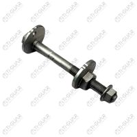 Комплект эксцентрика TG-48190-60020 TiGuar